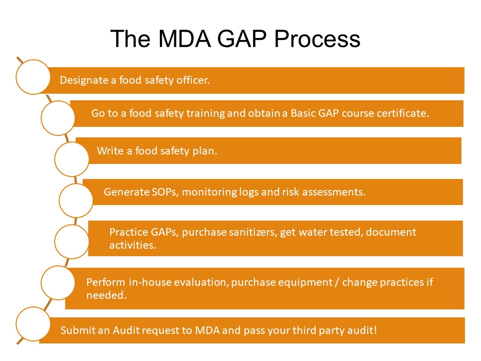 GAP Process