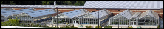 Greenhouse complex