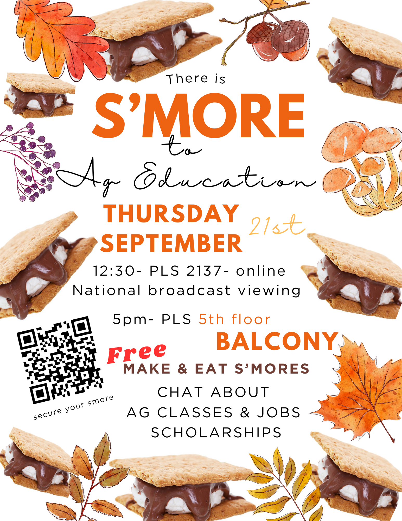 S'mores event