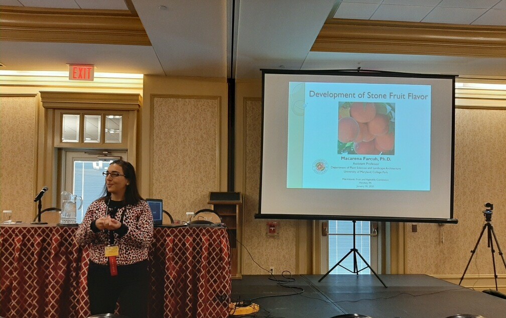 Macarena presenting at a conference