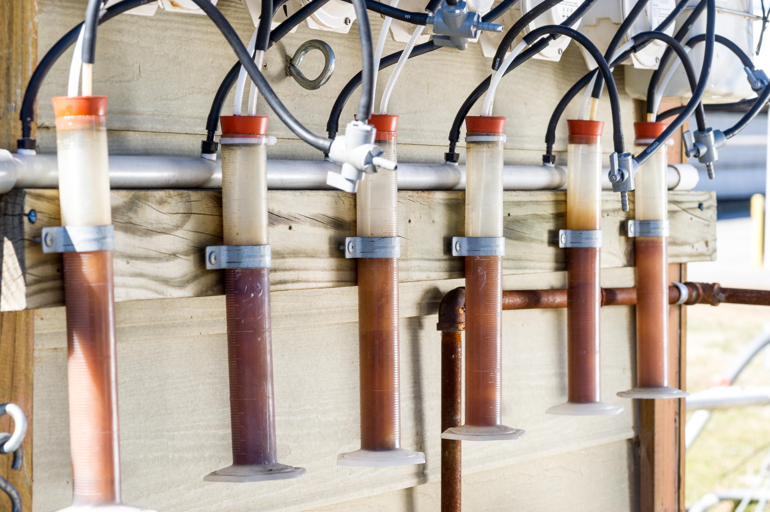 The prevention measures in plant pathology research paper picture