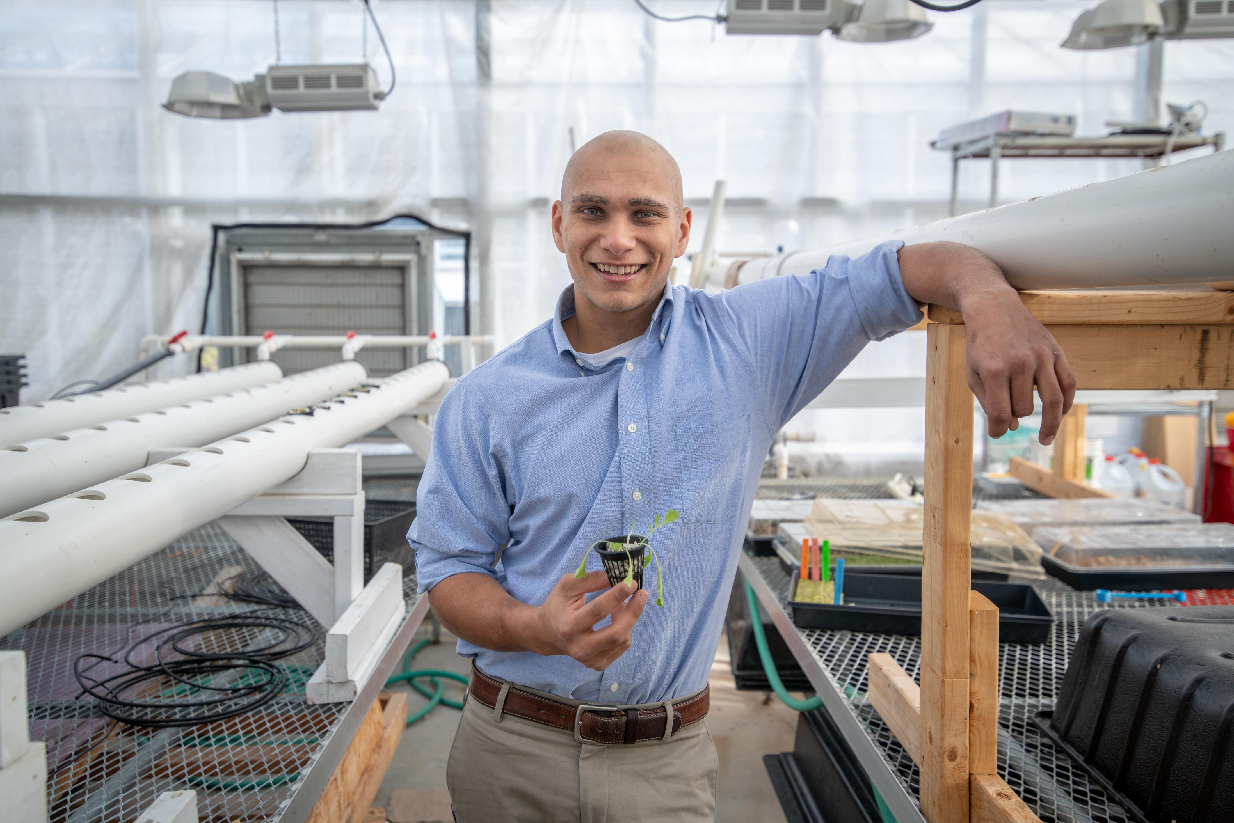 Dissertation extension coronavirus 04 picture