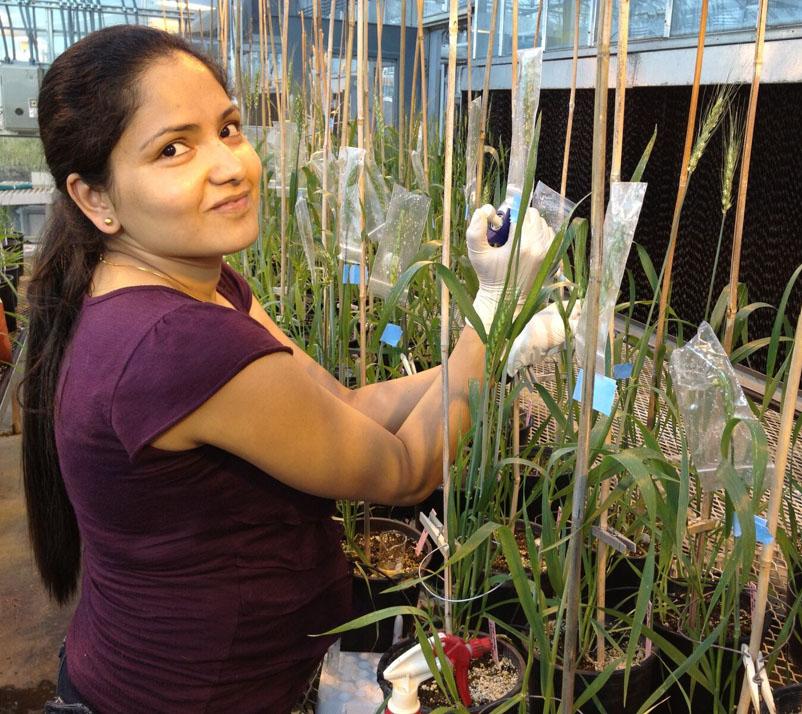 Dissertation extension coronavirus 08 picture